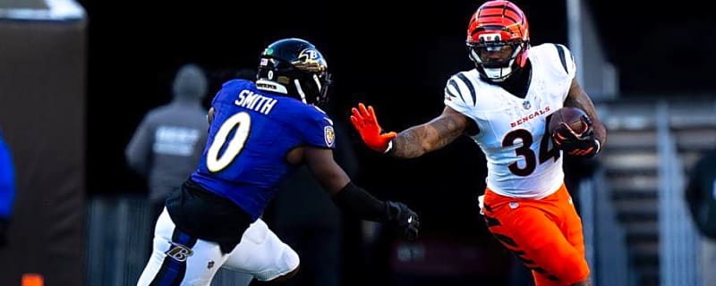 Bengals Standard Betting Underdogs Against Ravens in First 2026 Season Matchup