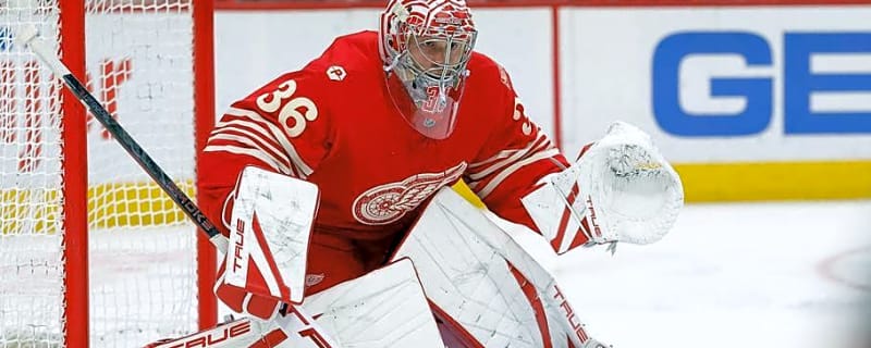 Did the Red Wings Actually Get Worse This Offseason?