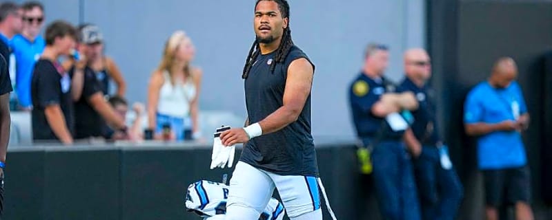 The Panthers You Should (and Should Not) Prioritize in Fantasy Football Drafts
