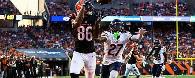 Perhaps It's Time for Ben Johnson and the Bears to Get Serious