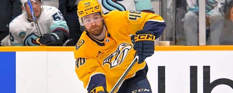 Nashville Places Two Experienced Defensemen on Waivers