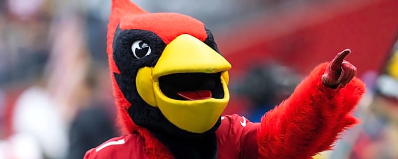 NFL World Ruthlessly Goes After Cardinals Over Schedule Release Video