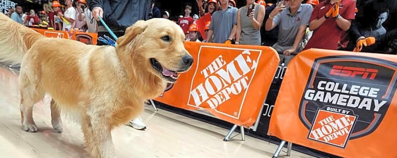 Iowa vs. Minnesota: How Did ESPN College GameDay Pick the Floyd of Rosedale?