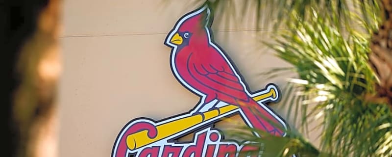 Cardinals Update: St. Louis Lost Slugger; New Career Day
