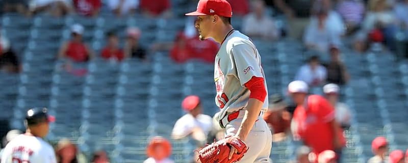 Cardinals Were Never Going to Buy, Even if Fans Wanted Them to