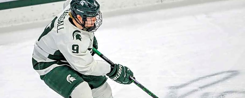 Spartan Duo Earns Academic All-America Honors