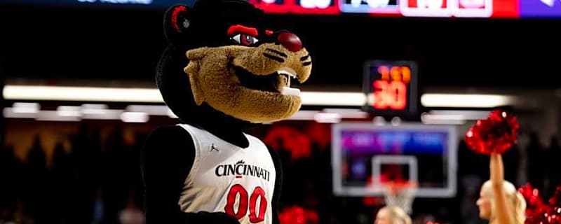 New Bearcats Basketball Players Meet With Media Amidst Summer Workouts