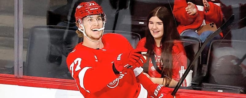 Simon Edvinsson Will Report to Red Wings Camp Without Contract