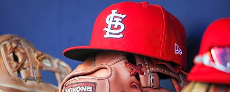 Cardinals 19-Year-Old Emerging as Early Win in Willson Contreras Deal