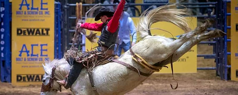 Maple Leaf Circuit Finals Set To Kick Off in Saskatchewan Capital on Wednesday