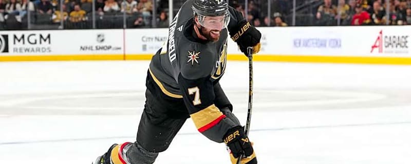 Golden Knights Defenseman&#39;s Future in Jeopardy
