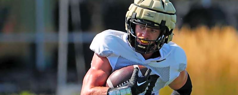 Oregon Ducks&#39; Dillon Thieneman Among Highest-Rated Safeties In EA College Football 26