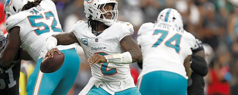 Ten Key Dolphins Week 1 Numbers and the Stories They Told