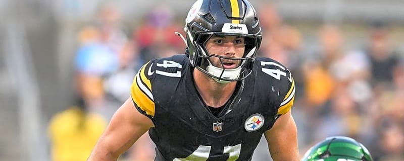 Steelers Might Have Their Answer at LB