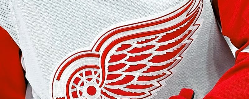 The Most Intriguing Name in Red Wings' Expansive GM Search