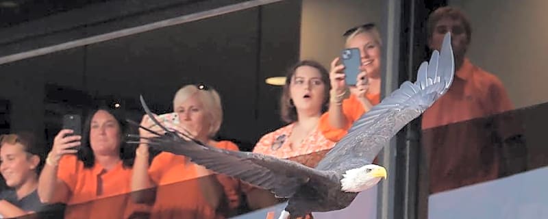 How to Watch Auburn Football's Home Opener vs. Southern Miss