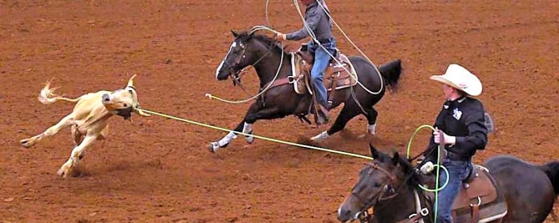 Three New Team Roping Pairings Set To Compete Together at 2025 NFR