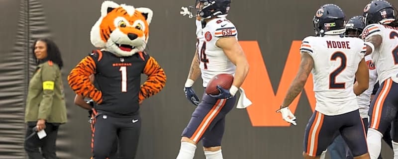 Mid-term Bears report card reflects upward trend and lurking danger