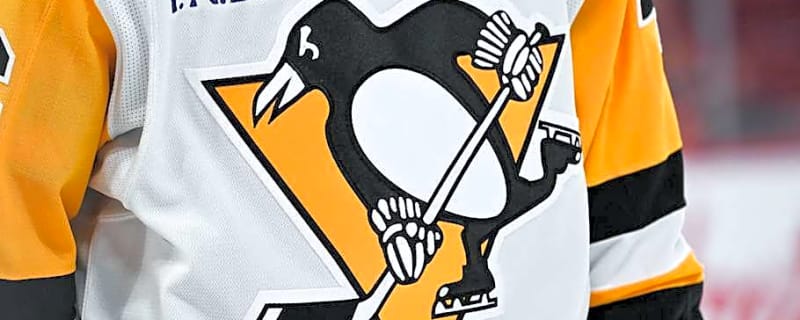 Penguins End Strange Chapter With Sale of Team