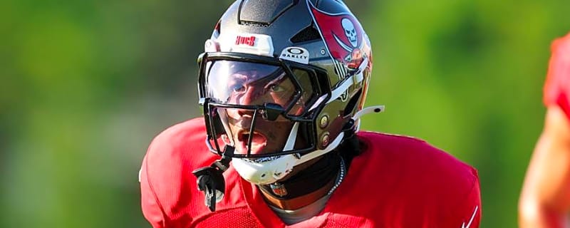 Familiar Faces Headline 3 Safeties Lions Could Poach From Practice Squads