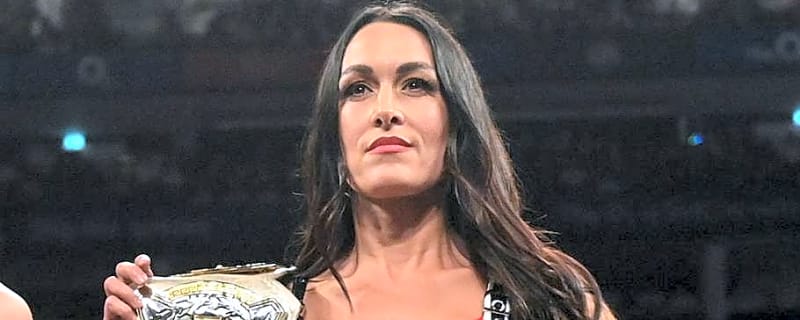Brie Bella Shares New Update on Her Injury at SummerSlam