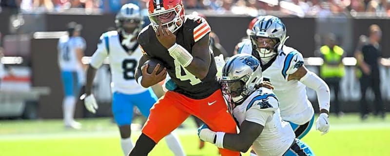 The Panthers Lost to the Browns, but These 4 Things Actually Matter