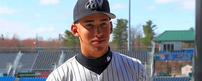 Scout Believes Yankees Prospect 'Going to Be Special'