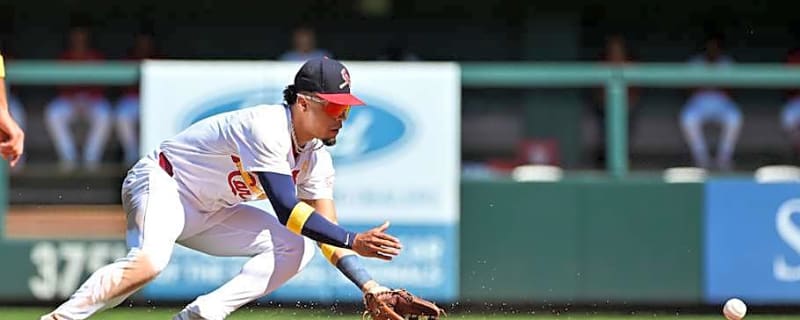 Cardinals Star Infielder Gets Huge $250-Plus Million Contract Projection