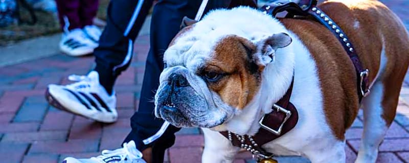 Bulldogs make smart hire with Lindsey, still searching for lead WR coach