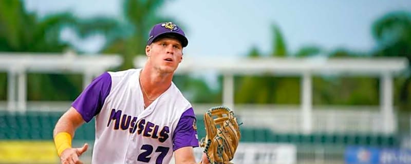 Three Twins prospects make the cut in updated top 50 rankings