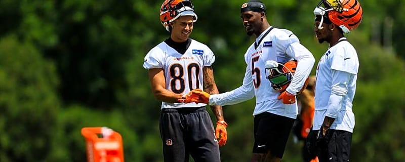Five Recent Cincinnati Bengals Draft Picks Entering Make-or-Break Seasons in 2026