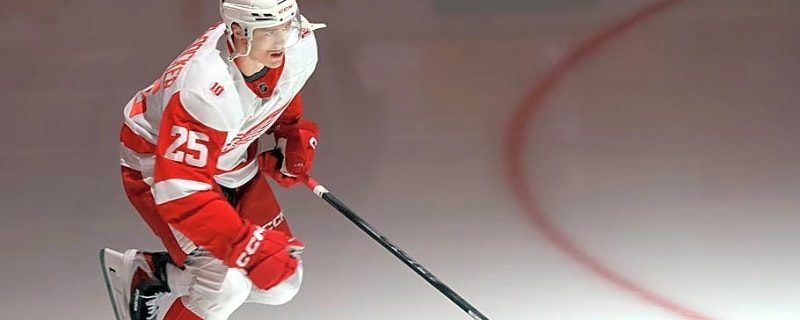 Red Wings Have Tough Decision to Make on Final Defensive Spot