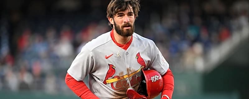 Cardinals Bring 24-Year-Old Back After 1-Day MiLB Stint