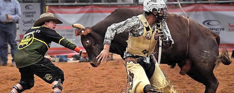 Cody Webster Named Bull Fighter Of The Year After Bouncing Back From Injury