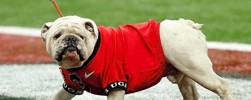 Georgia Bulldogs' Season Kickoff to be Earliest in 137 Years