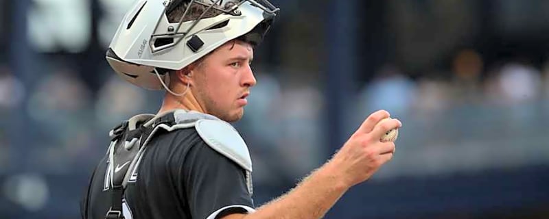Could Chicago White Sox Put Rookie Catchers Kyle Teel, Edgar Quero In Same Lineup?