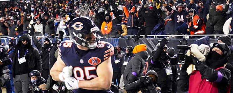 Cole Kmet's Insight Provides Certainty and Humor About His Bears Role