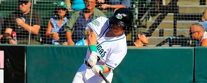 Reds Prospect Has Huge Night at the Plate