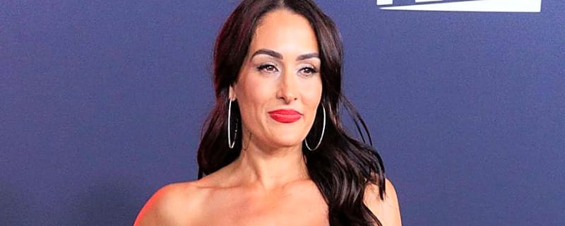 Nikki Bella Highlights Key Difference Between Triple H And Vince McMahon