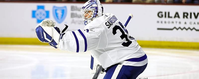 Former Leafs goaltender gets surprising NHL comeback after Toronto disaster