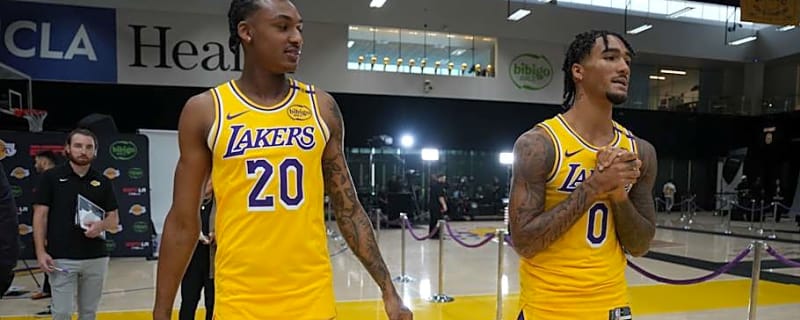 Former Lakers Draft Bust Signs with Surprise Team