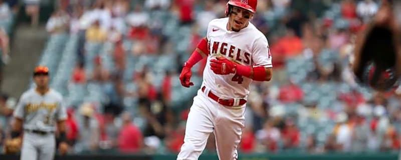 Yankees Release Former Angels Infielder