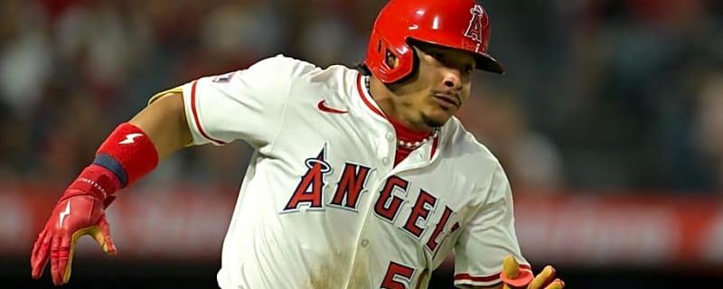 Angels Sign Outfielder in Free Agent Move