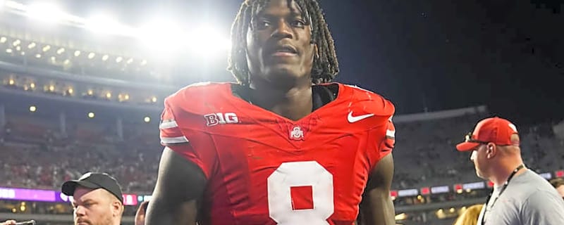 Arvell Reese 2026 NFL draft prospect profile, grades, rank, measurements