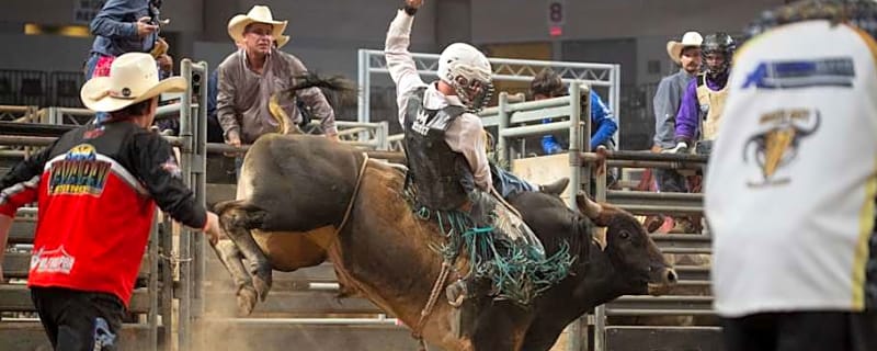 Bull Rider Jared Parsonage Makes History Then Retires As Canadian Champion