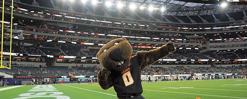 Oregon State Men&#39;s Soccer: Previewing the Beavers&#39; Non Conference Schedule