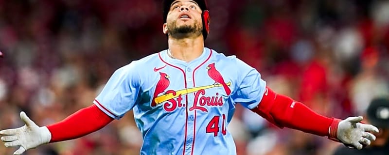 Red Sox Fans Will Love Expert's Assessment Of Willson Contreras' Fit