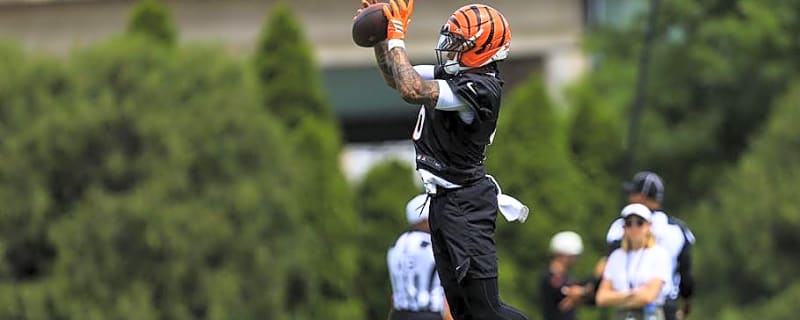 Bengals Free Agent Addition Receives Glowing Endorsement From Teammate