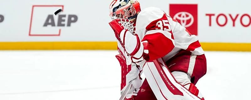 Michal Postava to Make First Career NHL Start With Red Wings