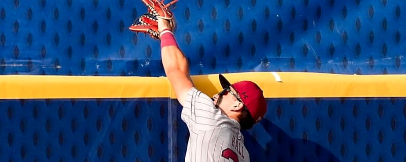 Diamondbacks Draft South Carolina Outfielder in Fifth Round